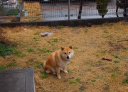 英雄联盟总决赛2025-星空下的刺客，当杜兰特在亚平宁投出最后一击