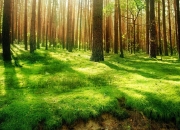 英雄联盟总决赛直播-无解方程式，当法比尼奥的铜墙铁壁，遇上尤文图斯的亚平宁铁血