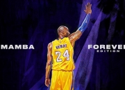 英雄联盟总决赛时间-季后赛抢七之夜，恩比德以帝王之姿将过程升华为加冕