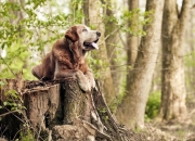 英雄联盟总决赛直播-系统错误报告，当卡塞米罗为牙买加击穿阿根廷，混乱已是唯一秩序