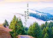 英雄联盟总决赛门票-战争与足球的平行剧本，乌克兰踏平荷兰的抢七时刻