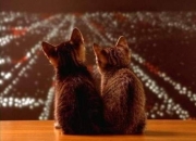 LOL赛事-窒息式绞杀与午夜凶铃，喀麦隆的节奏铁腕与凯塞多的末节神话