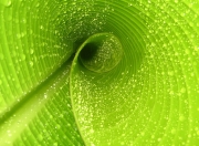 -今夜属于孔德！终场前极限绝杀，一记重炮为多特蒙德劈开胜利之门