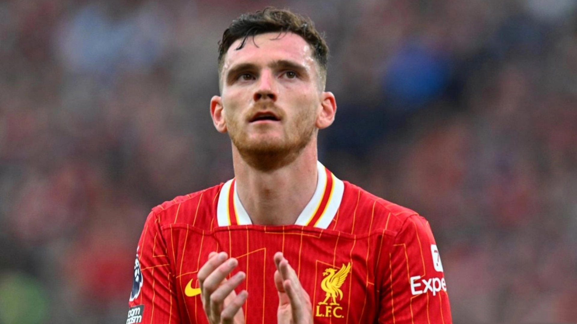 包含利物浦官方宣布签下年轻后卫，球迷期待他的表现的词条