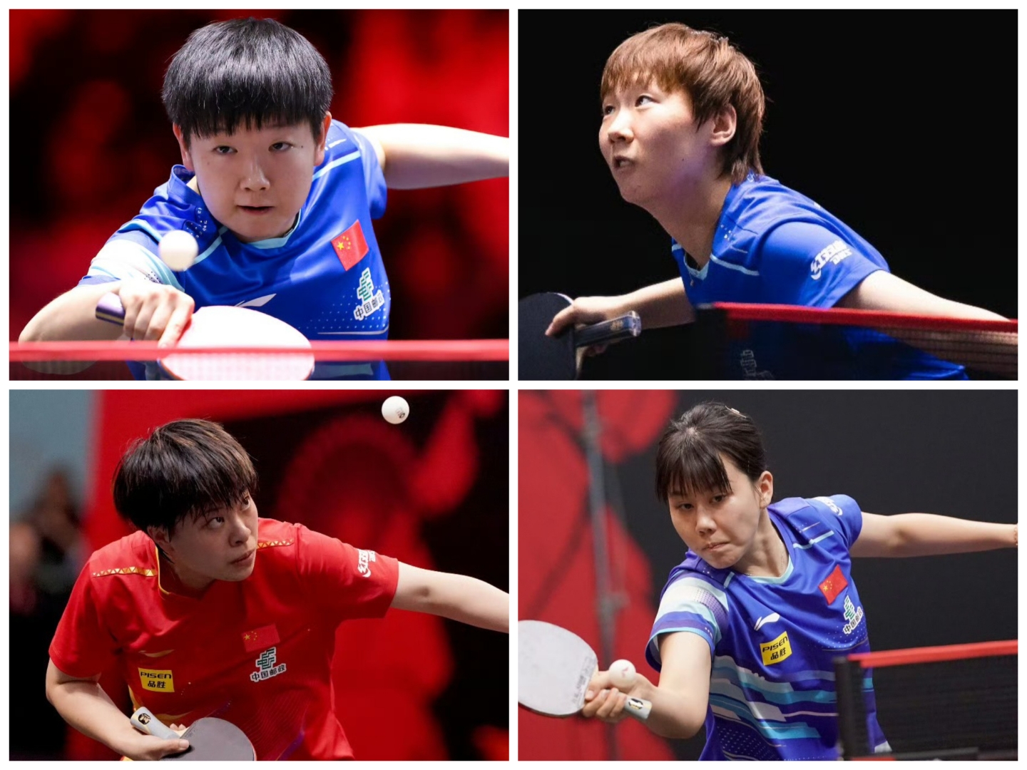 关于乒乓球热度飙升，网友热议不断的信息