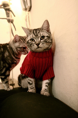 唯一低效夜晚竟成制胜一击！雄鹿逆转火箭，克莱末节觉醒的关键价值