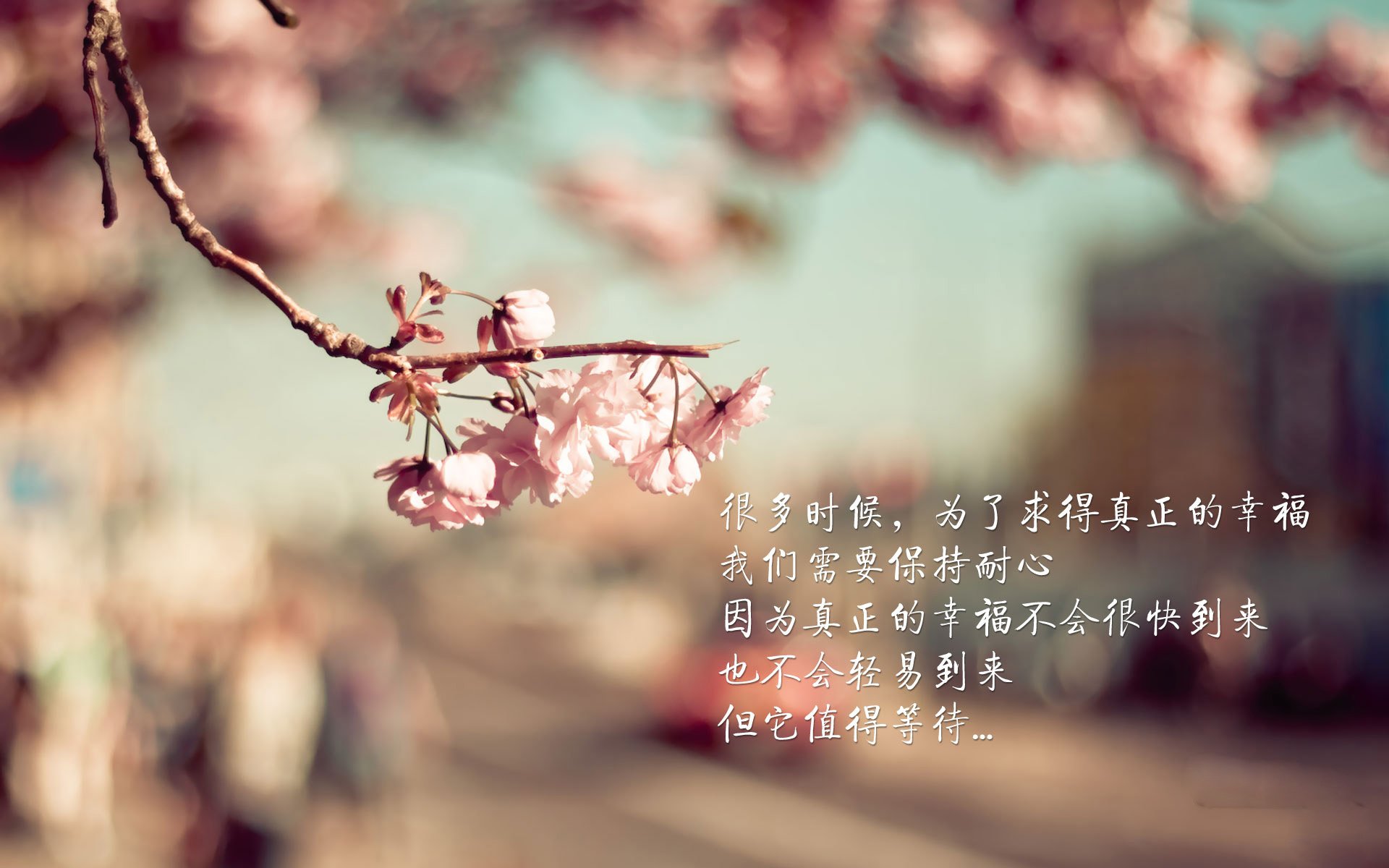 摩纳哥双线闪击，赛道与绿茵的致命协奏