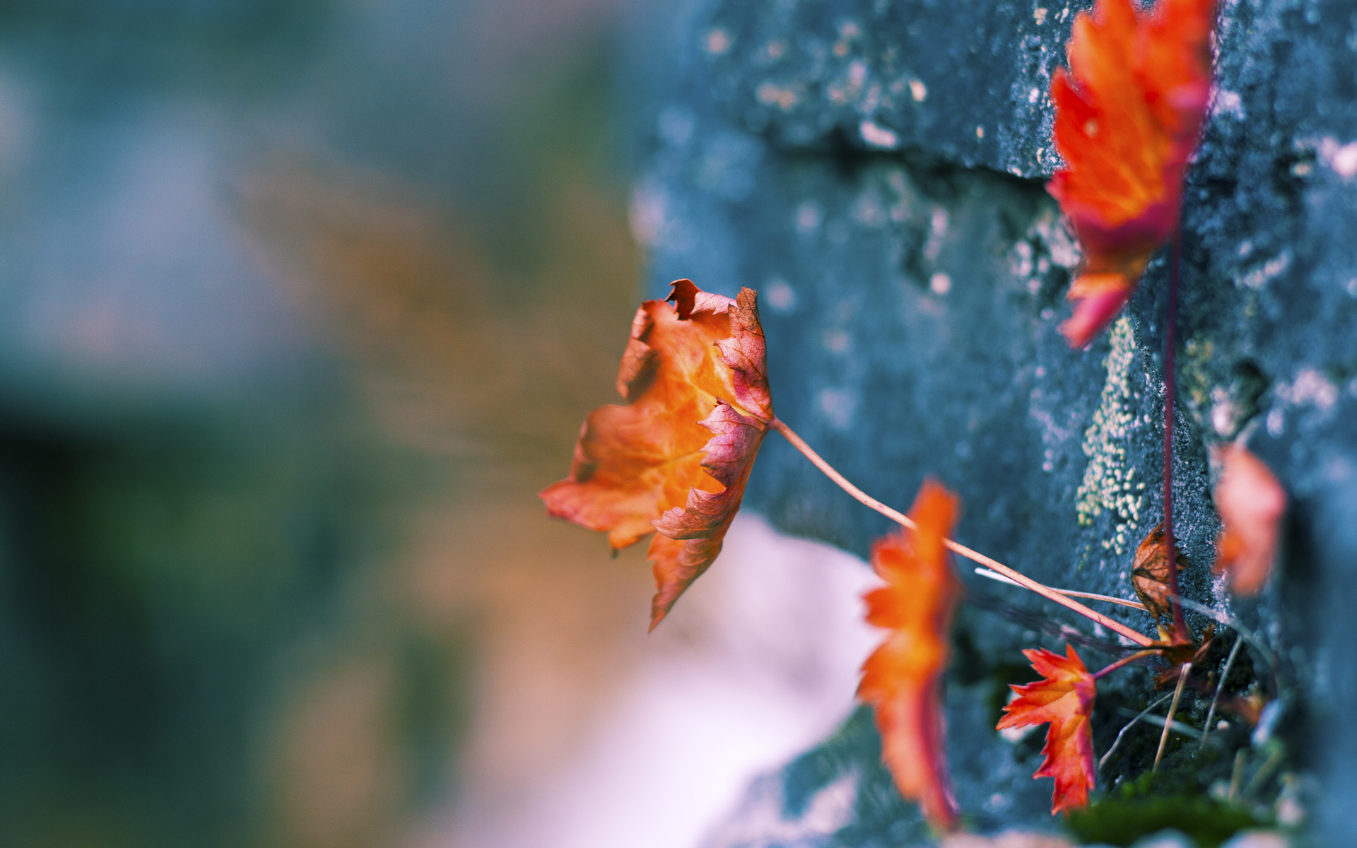 东西部各展统治力,字母哥闪耀全场,太阳轻取湖人彰显实力