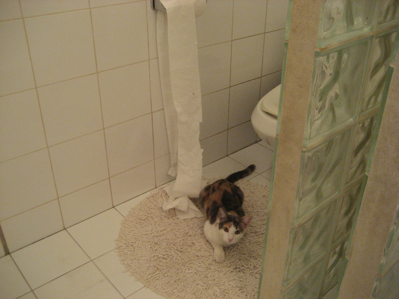 吉林队掀翻独行侠!武切维奇长春上演魔幻一夜