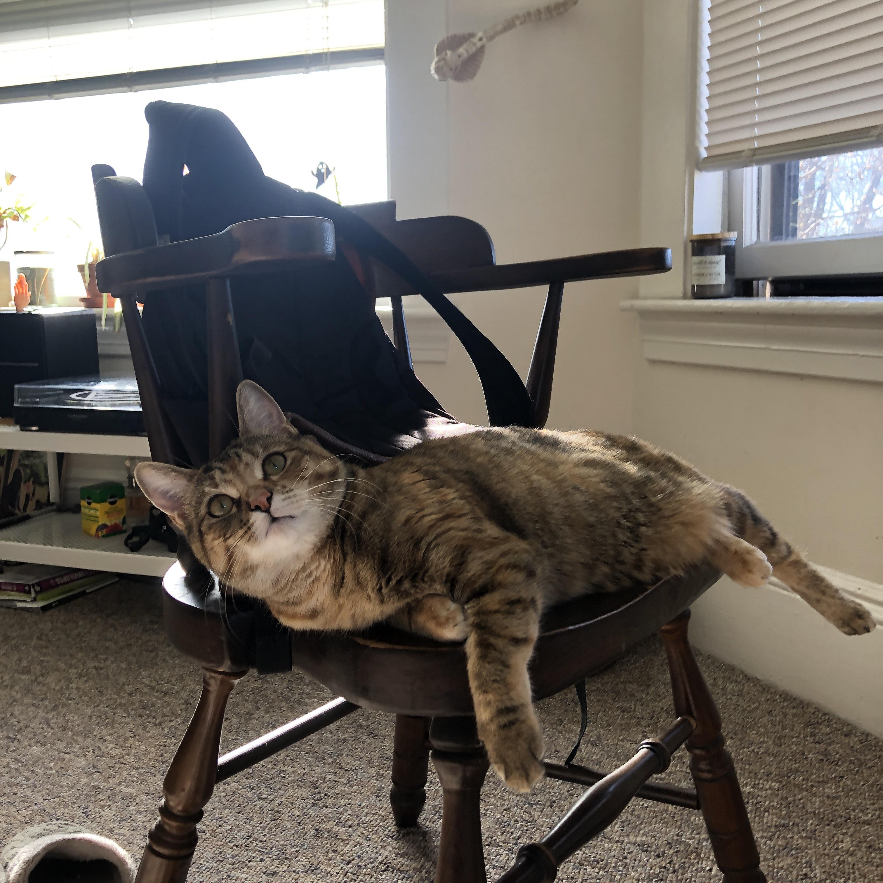 当老鹰掠过圣西罗,弱者的血脉里,都住着一只待命的猛禽