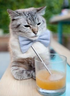 赛场上的导演，当爱尔兰逆转瑞典，拉亚在圣西罗接管意甲焦点战