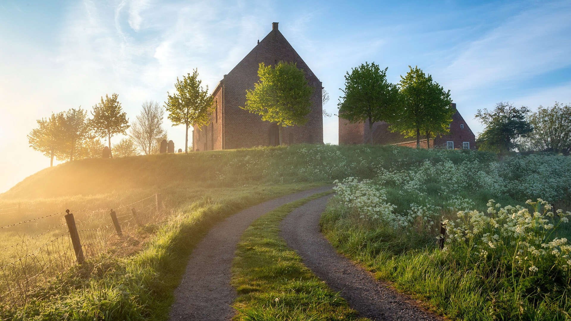 巨星闪光与团队风暴,绿茵场上的双重奏